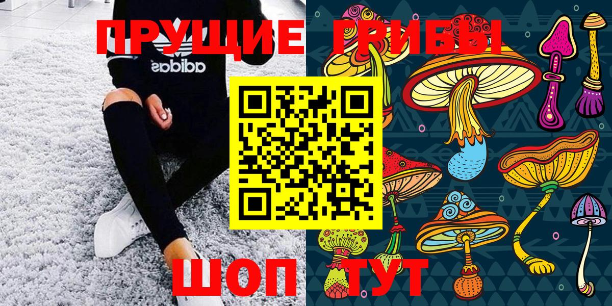 Псилоцибиновые грибы MAGIC MUSHROOMS Моздок